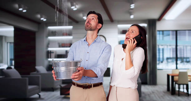 Best Water damage restoration near me  in Leland Grove, IL